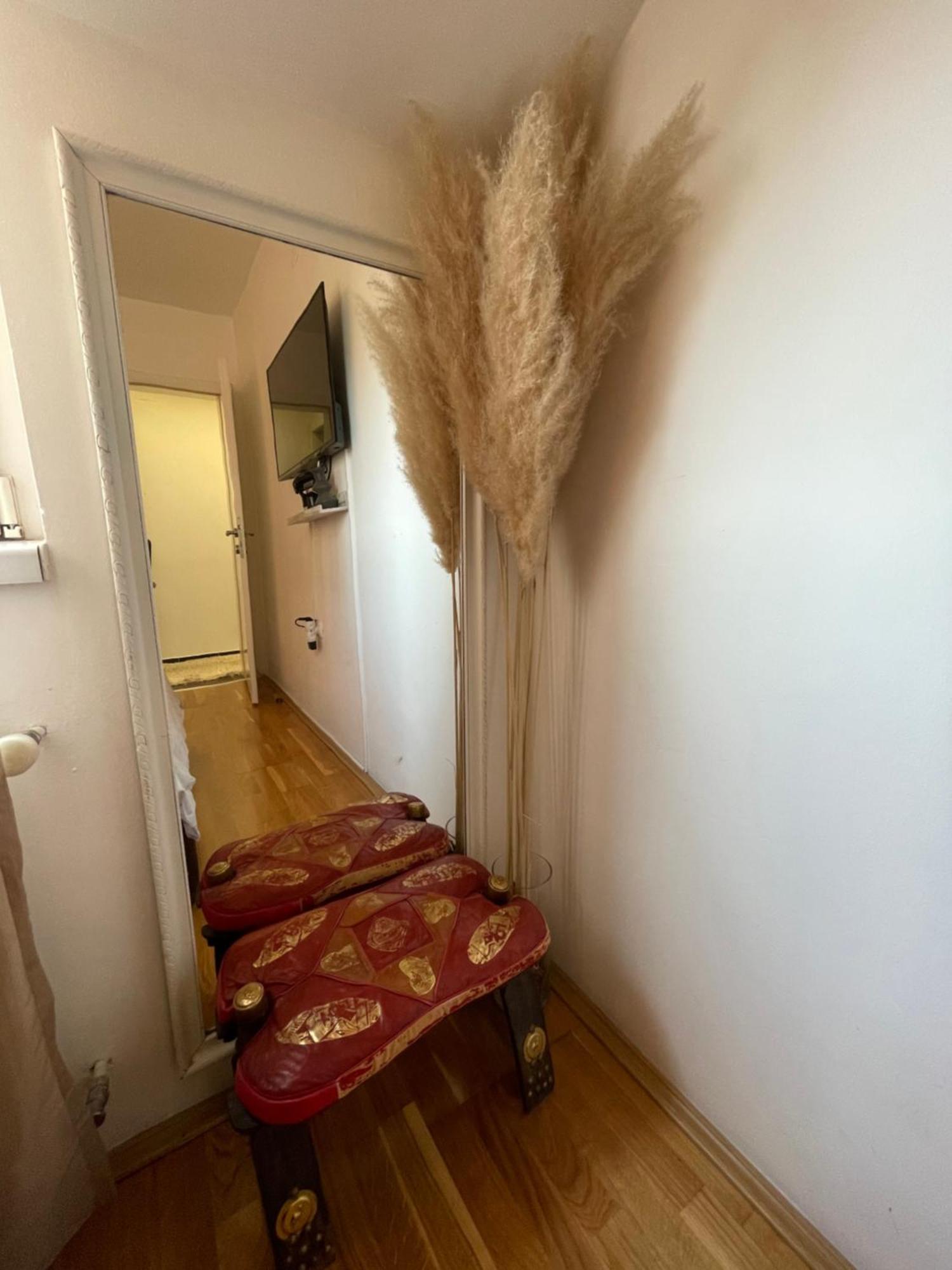 Charme Apartman Kruševac 外观 照片